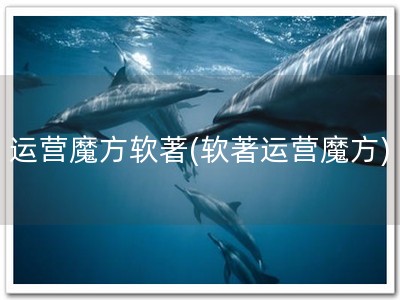 运营魔方软著(软著运营魔方)