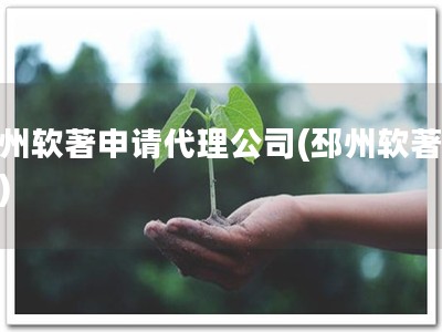邳州软著申请代理公司(邳州软著代理)