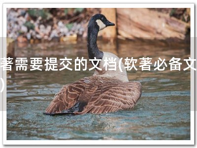 软著需要提交的文档(软著必备文档！)