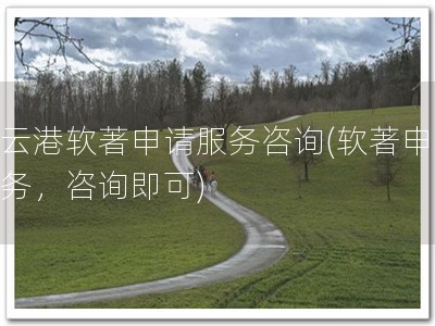 连云港软著申请服务咨询(软著申请服务，咨询即可)