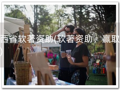 陕西省软著资助(软著资助，赢取未来)