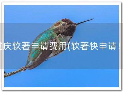 重庆软著申请费用(软著快申请！)