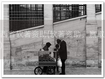 陕西省软著资助(软著资助，赢取未来)