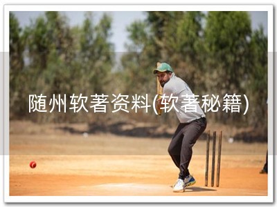 随州软著资料(软著秘籍)