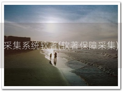 采集系统软著(软著保障采集)