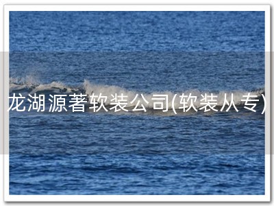 龙湖源著软装公司(软装从专)