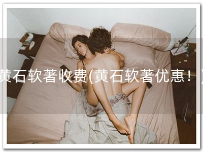 黄石软著收费(黄石软著优惠！)