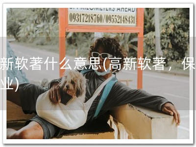高新软著什么意思(高新软著，保障企业)