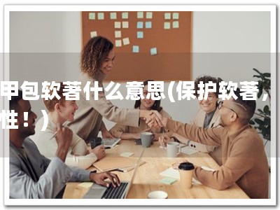 马甲包软著什么意思(保护软著，重要性！)