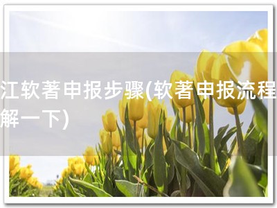 靖江软著申报步骤(软著申报流程，了解一下)