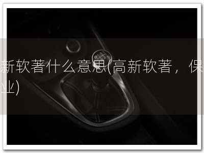 高新软著什么意思(高新软著，保障企业)