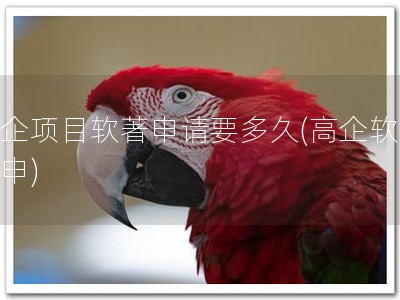 高企项目软著申请要多久(高企软著速申)