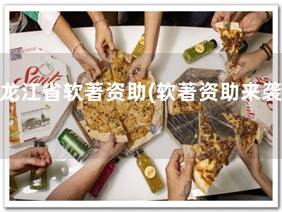 黑龙江省软著资助(软著资助来袭！)
