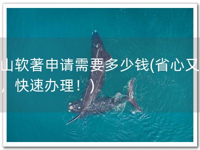 黄山软著申请需要多少钱(省心又实惠，快速办理！)