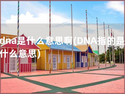 dna是什么意思啊(DNA指的是什么意思)