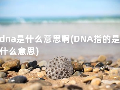 dna是什么意思啊(DNA指的是什么意思)
