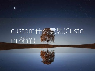custom什么意思(Custom 翻译)