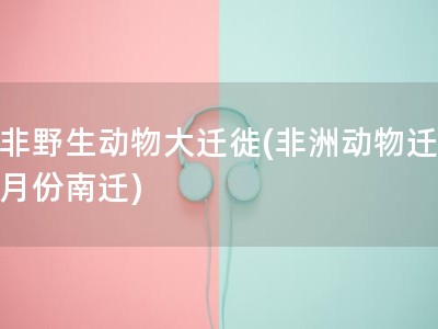 东非野生动物大迁徙(非洲动物迁徙几月份南迁)