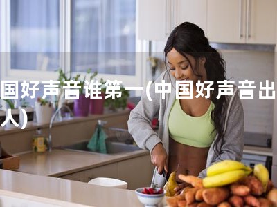 中国好声音谁第一(中国好声音出名的人)