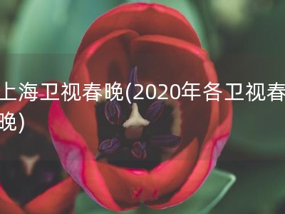 上海卫视春晚(2020年各卫视春晚)