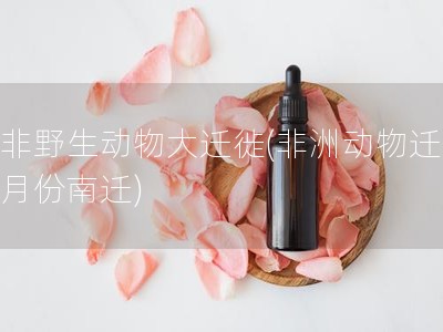 东非野生动物大迁徙(非洲动物迁徙几月份南迁)