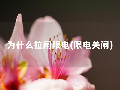 为什么拉闸限电(限电关闸)