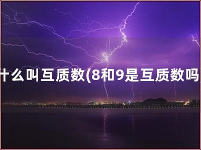 什么叫互质数(8和9是互质数吗)