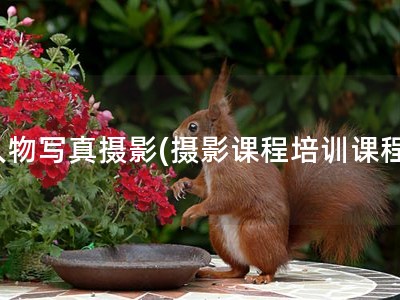 人物写真摄影(摄影课程培训课程)
