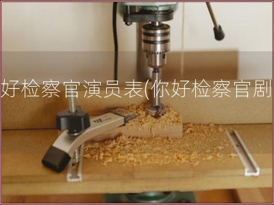 你好检察官演员表(你好检察官剧情)