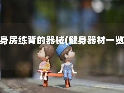 健身房练背的器械(健身器材一览表)