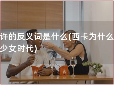 允许的反义词是什么(西卡为什么退出少女时代)