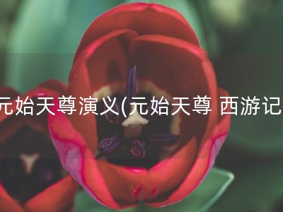 元始天尊演义(元始天尊 西游记)