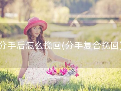 分手后怎么挽回(分手复合挽回)