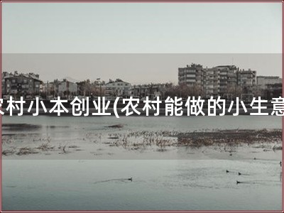 农村小本创业(农村能做的小生意)