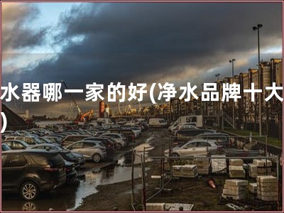 净水器哪一家的好(净水品牌十大排名)