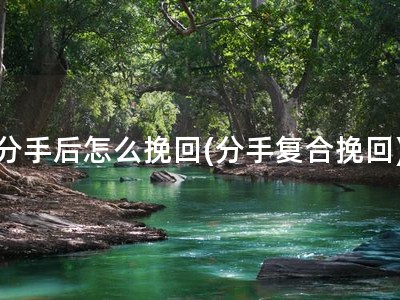 分手后怎么挽回(分手复合挽回)