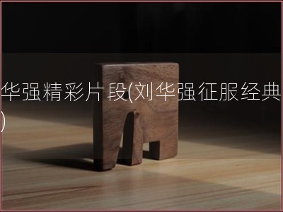 刘华强精彩片段(刘华强征服经典片段)