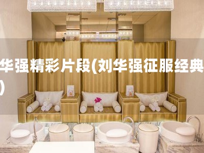 刘华强精彩片段(刘华强征服经典片段)