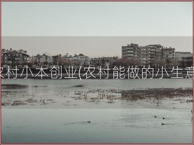 农村小本创业(农村能做的小生意)