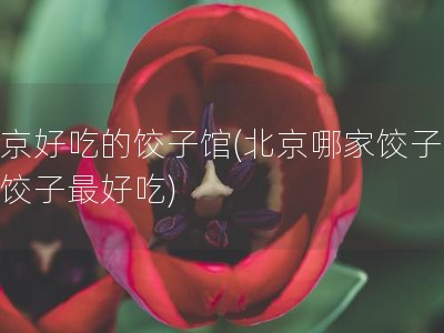 北京好吃的饺子馆(北京哪家饺子馆的饺子最好吃)