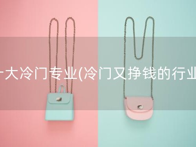 十大冷门专业(冷门又挣钱的行业)