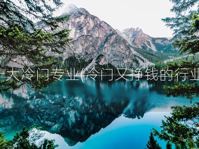 十大冷门专业(冷门又挣钱的行业)