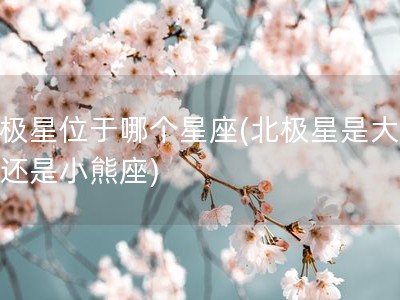 北极星位于哪个星座(北极星是大熊座还是小熊座)