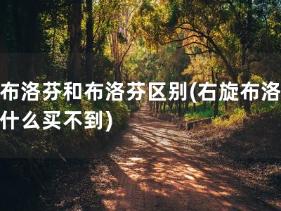 右布洛芬和布洛芬区别(右旋布洛芬为什么买不到)