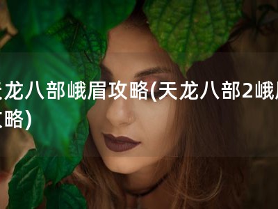 天龙八部峨眉攻略(天龙八部2峨眉攻略)