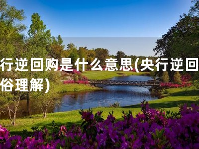 央行逆回购是什么意思(央行逆回购通俗理解)