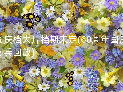 国庆档大片档期未定(60周年国庆阅兵回放)