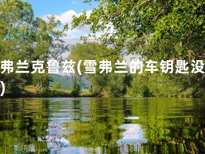学弗兰克鲁兹(雪弗兰的车钥匙没电了)