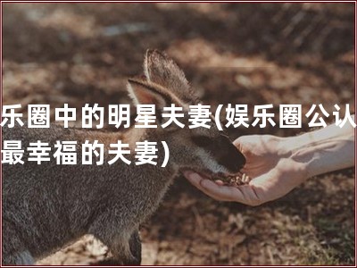 娱乐圈中的明星夫妻(娱乐圈公认十大最幸福的夫妻)