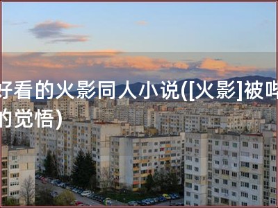 好看的火影同人小说([火影]被哔的觉悟)